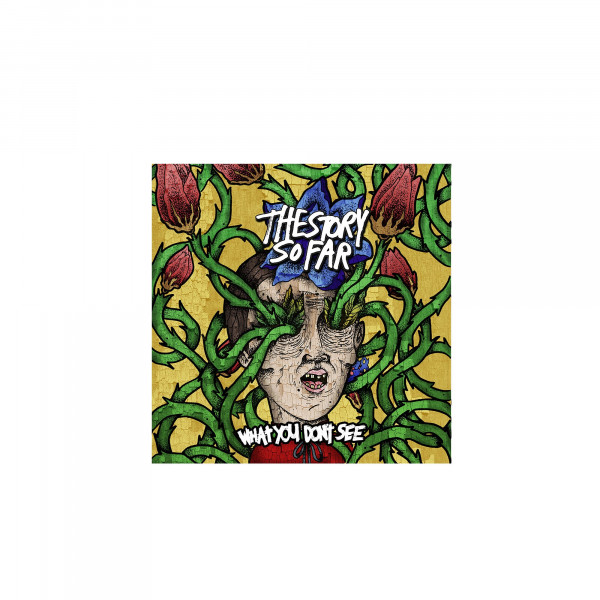 The Story So Far - What You Don't See (CD)