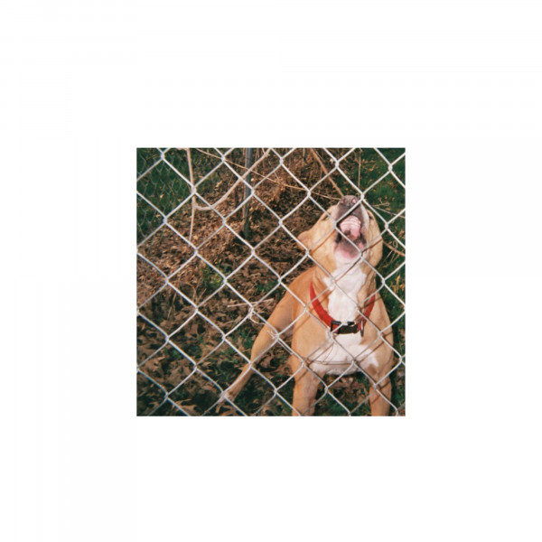 Knocked Loose - Pop Culture (CD)