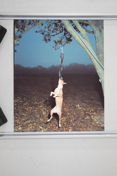 Kunstdruck (B-Ware) - Maša Stanić - Hund